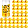 Realspring Classroom Management Lucky Ducks,36 Pcs Teacher Graduation Rubber Ducks