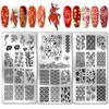 PH PandaHall 3pcs Koi Nail Stamping Plates, East Lotus Nail