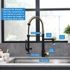 Fapully LED Kitchen Faucet with Pull Down Sprayer,Black&Gold Commercial Kitchen
