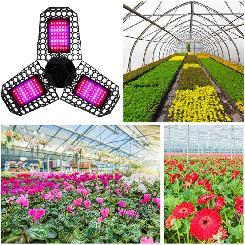 Plant Grow Light Foldable 80W Red Blue Spectrum LED Plant