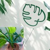 Monstera Leaf Plant Support | Soporte único y estético para