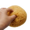 Just E Joy Texture Sponge w/Scraper, Home Decor Drywall Texture
