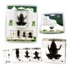 REAL BUG Frog Life Cycle, Set of 5