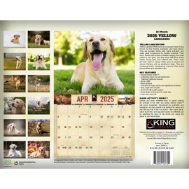2025 Yellow Labrador Dog Wall Calendar 16-Month X-Large Size 14x22, Best Yellow Lab Dog Calendar by The KING Company-Monster Calendars (2025 Yellow Lab Wall Calendar)