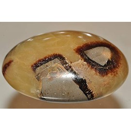✦ Bella-gems ✦ 38x53x23mm Madagascar Septarian Nodule (aka Dragon Stone) Large Metaphysical Healing Palm Worry Stone Gallet - N1218