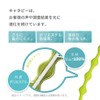 Caterpy Air No Tie Shoelaces (Can be worn on and