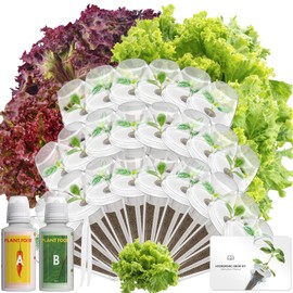 Red Romaine Lettuce Seed Pod Kits for AeroGarden, Ahopegarden, iDOO Hydroponics Growing System Indoor Herb Garden, 400+ Seeds, Including American Fast Lettuce, Red Romaine Lettuce(24-Pods)