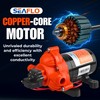 SEAFLO 33 Series 12V DC RV/Camper/Boat/Off-Grid Fresh Water Pressure Pump