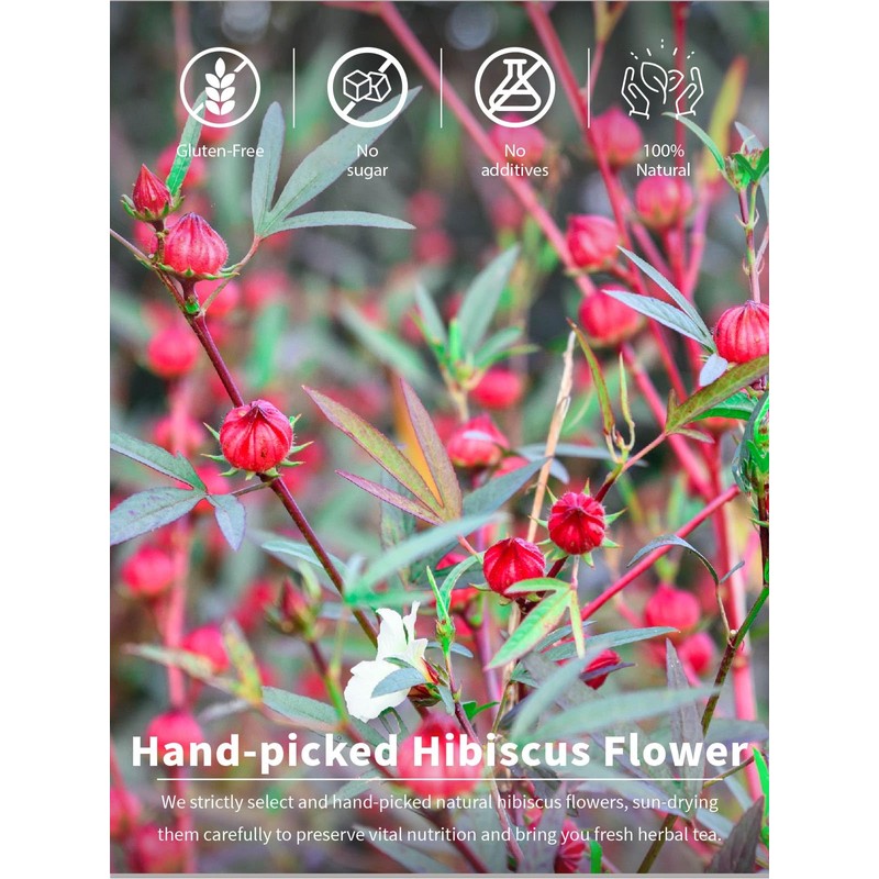 TeeLux Hibiscus Tea Bags, Premium Natural Hibiscus Flowers Tea, Caffeine
