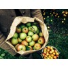 Willy's Organic ACV Apple Cider Vinegar with Mother - Probiotocs