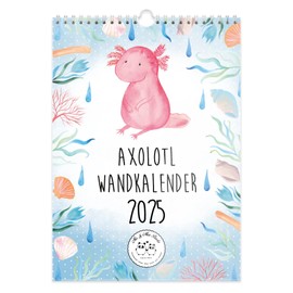 Mr. & Mrs. Panda A4 Wall Calendar 2025 Axolotl Collection - Gift, Kitchen Calendar, Calendar with Holidays, Newt, Annual Calendar, Diary
