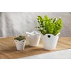 Mud Pie Happy Scallop Pot, Small; 4.5' X 4"