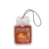 Yankee Candle Car Jar Ultimate, Spiced Pumpkin, 0.96 OZ