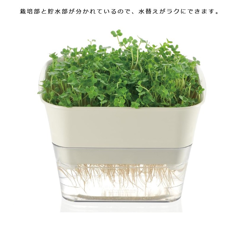 Richell Sprout Farm Type 12 N Dark Gray