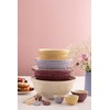 Mason Cash in The Meadow Set of 3 Measuring Cups