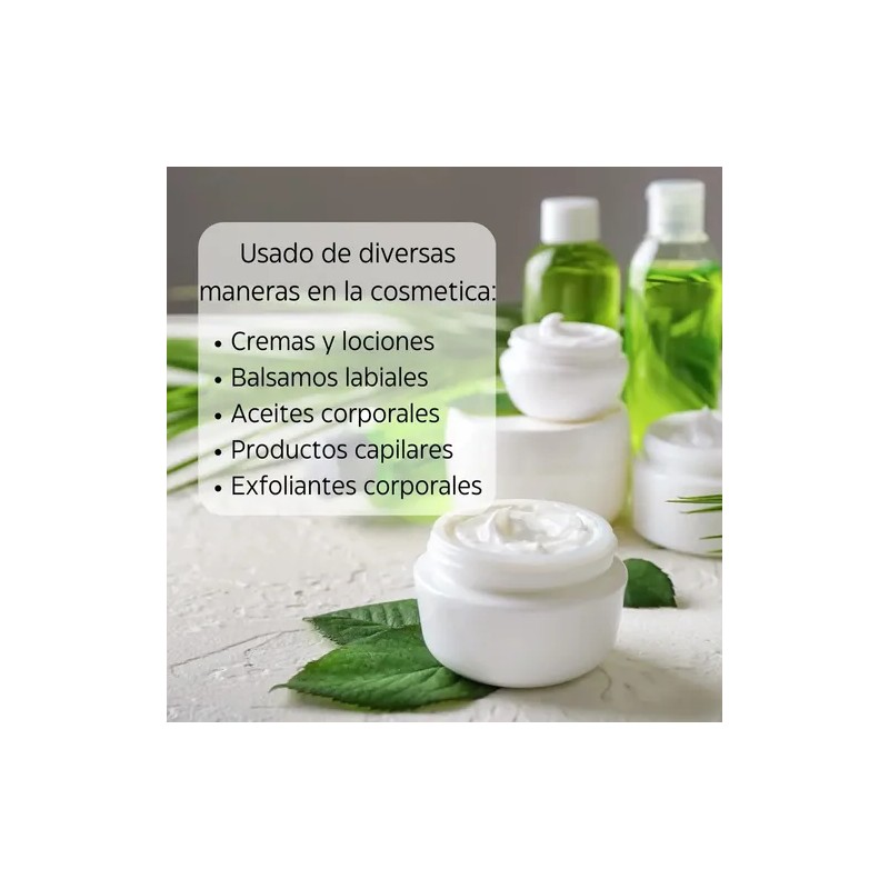 Manteca De Karité Natural Y Orgánica 100g Surtinsumos