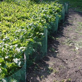 Pacific Accents Expandable Modular Outdoor Garden Fence Kit - Fast, Easy Way to Install Outdoor Fencing to Protect Your Garden- 24 x 18 Steel Wire Panels (Pro -12 Panels)