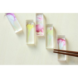 Toumei toumei 押花 Carnation Chopstick Rest Set of 5 Wood Box