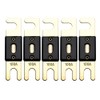 Offgridtec 100A 72V ANL Fuse DIN43560/1 Set of 5
