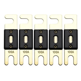 Offgridtec 100A 72V ANL Fuse DIN43560/1 Set of 5