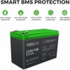 THISS LiFePO4 Lithium Battery 12V 7.0Ah for RV Off-grid Trolling