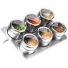 Premier Housewares Stainless Steel Magnetic Tray with 6-Spice Jars