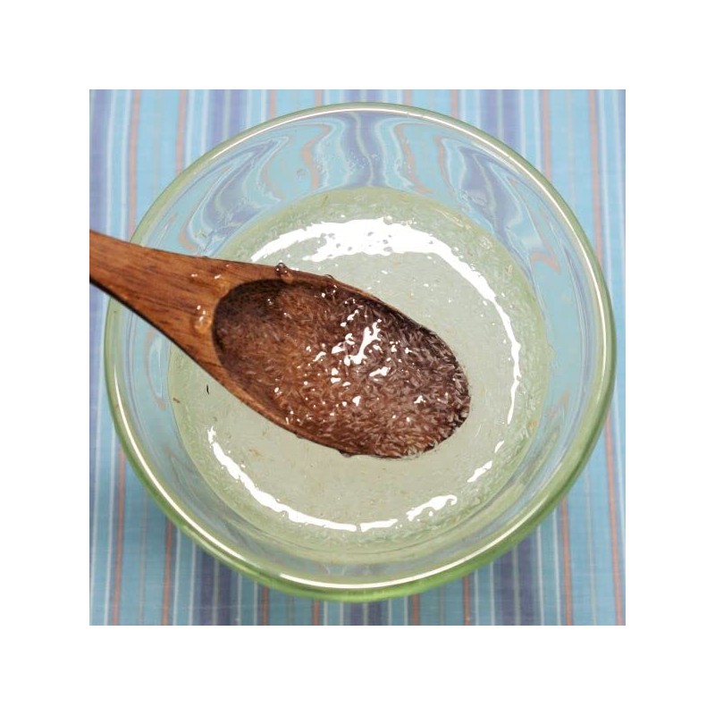 ダイエット オオバコ サイリウム ハスク (Psyllium husk) 40g【インド産】【 プランタゴオバタ オオバコ 種皮