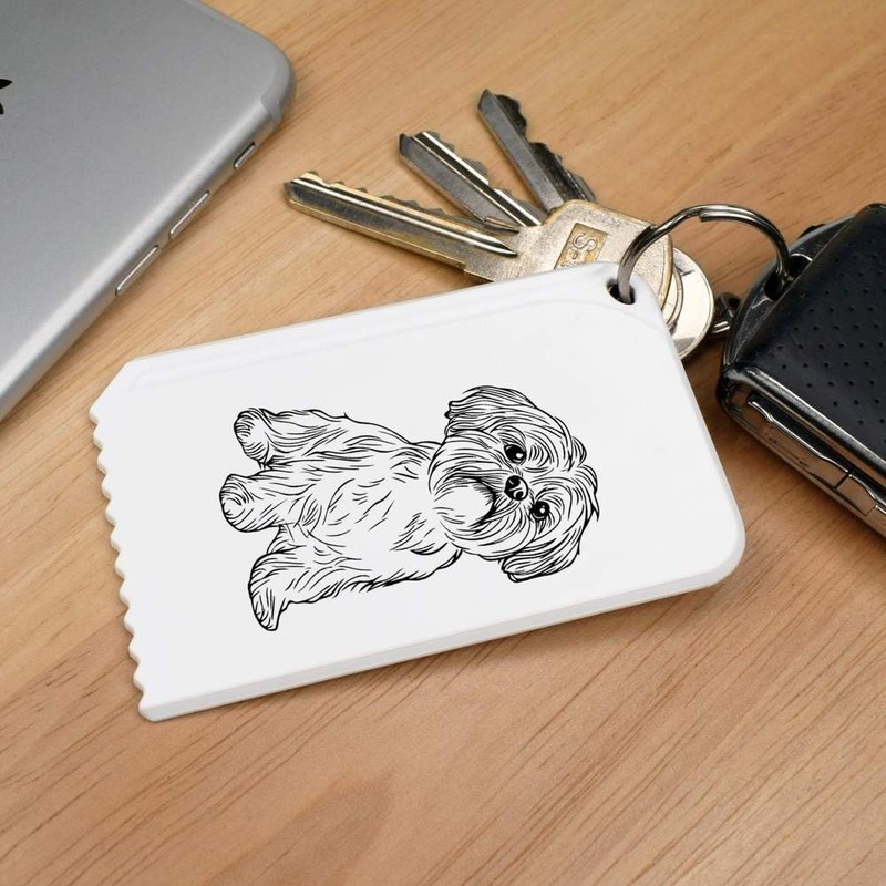 Azeeda 'Shih Tzu Dog Sitting' Plastic Ice Scraper (IC00040745)