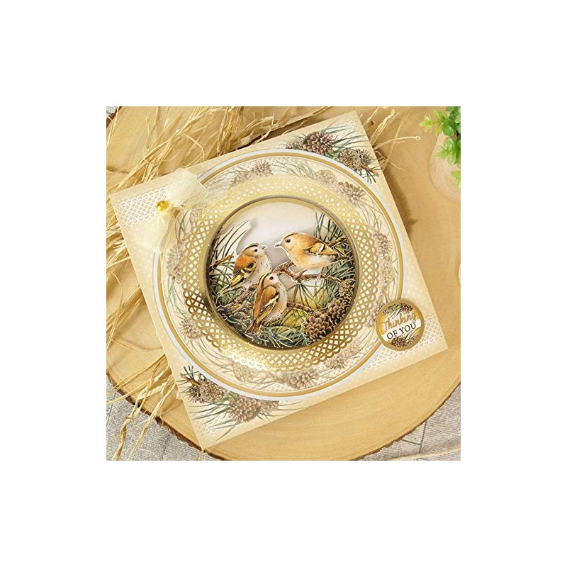 Hunkydory Crafts Delightful Birds Decoupage Card Kit