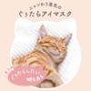 Guutara Hot Eye Mask Nyanguyu Gift Pack of 21 Sheets