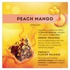Lipton Peach Mango, Vanilla Caramel, & Lemon Black Tea 20