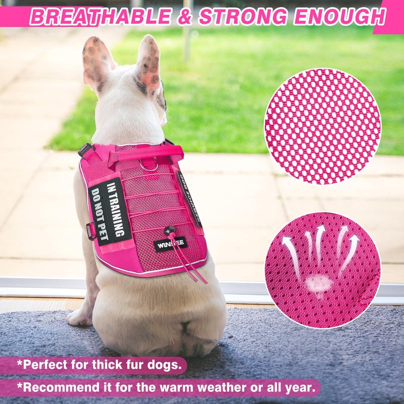 WINSEE Service Dog in Training Mesh Harness with 10 Pet