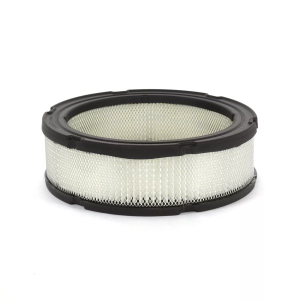 Briggs &amp; Stratton 394018S Briggs & Stratton Air Filter fits