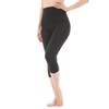 Liapom Women's Leggings, Warm, Fleece Lined, 160 Denier, Spats, Cold