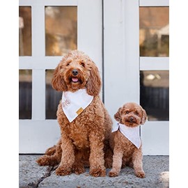 Remy+Roo Bandanas para perros – Paquete de 4 | Shannon | Tela duradera de alta calidad | Forma única | Ajuste ajustable | Múltiples tamaños disponibles (pequeño)