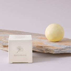 erigeron All-In-One Vegan Cruelty-Free Natural Ingredients Handmade Citron Shampoo Bar with Zero Waste Box Packaging