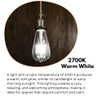Homefy ST19 Vintage LED Light Bulb 6 Pack