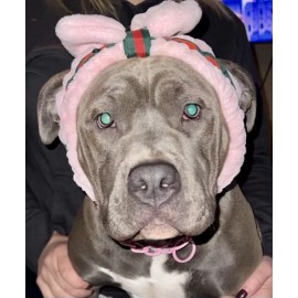 Unbranded Make Up And Spa Headband Accessory