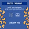 Kar’s Nuts Roasted & Salted Cashews, 3 oz – Grab