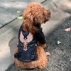 Lovelonglong Cool Dog Leather Jacket, Warm Coats Dogs Windproof Cold