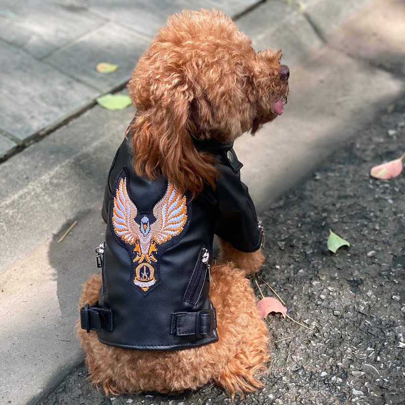 Lovelonglong Cool Dog Leather Jacket, Warm Coats Dogs Windproof Cold