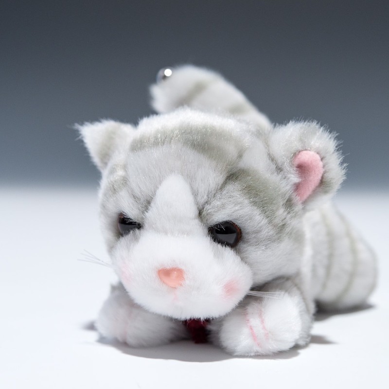 putisixeri- Crawl Gray