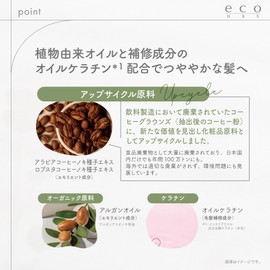 Eco BS Hair Oil (Fruity Floral)