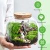 Glass Terrarium Jar with Cork Lid - 5.9 Inch Airtight