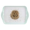 Wrendale Designs - 'Hedgehog' Scatter Tray