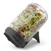 FLORTUS Sprout Jar Set with Strainer Lid & Integrated Stand