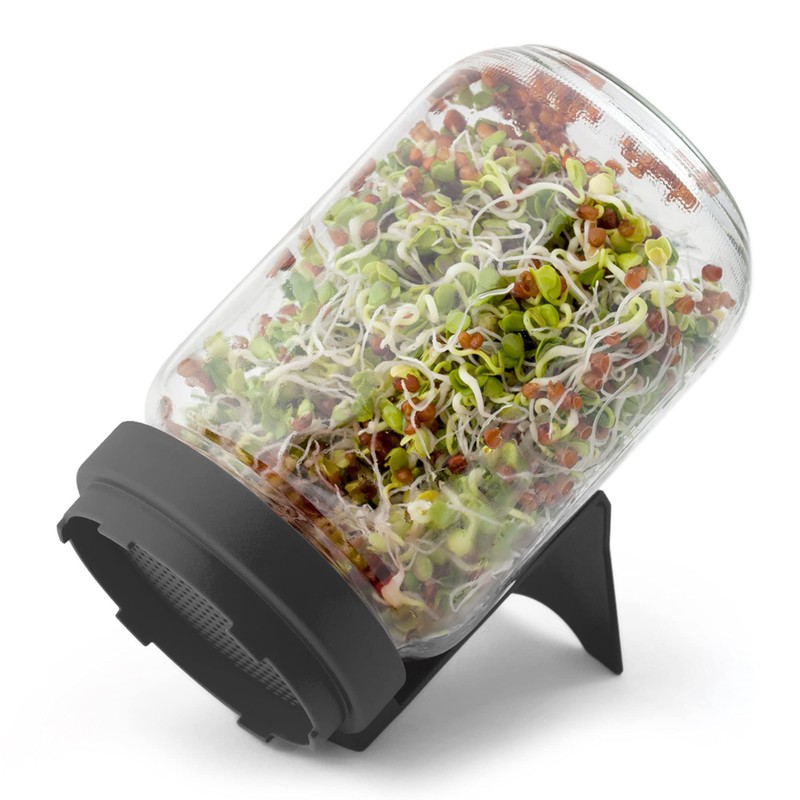 FLORTUS Sprout Jar Set with Strainer Lid & Integrated Stand