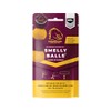 Smelly Balls Brisbane Broncos Reusable Car Air Freshener Set