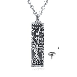Fryneauy - Collar de urna celta con forma de corazón y barra cilíndrica para cenizas de plata de ley 925 con colgante de cenizas, recuerdo de memoria, joyería de cremación para mujeres, Plata