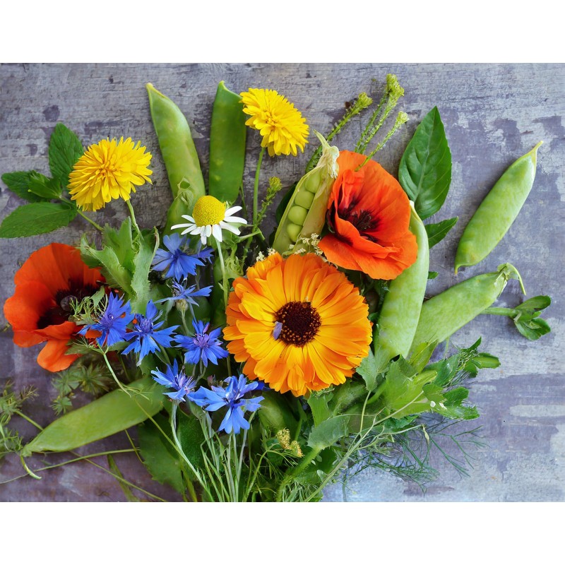 Kids' Garden Activity Set with Seeds - UK Made Kit